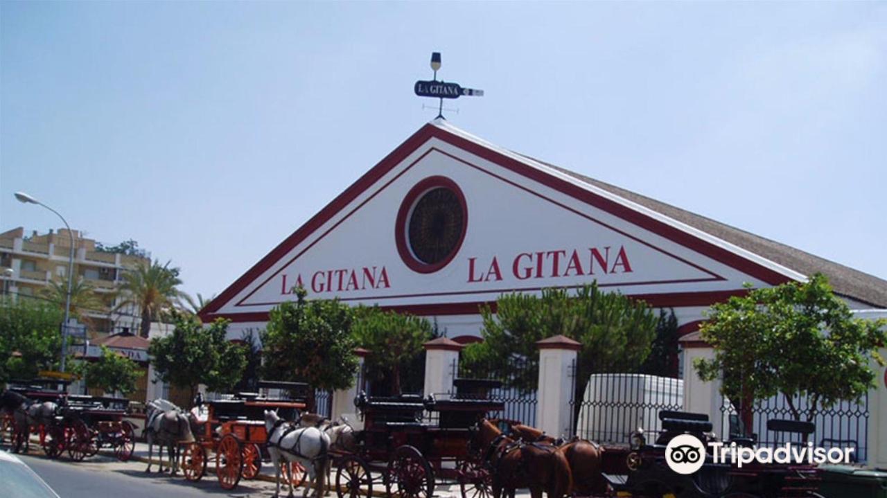 Convento De La Victoria Junto Al Cabildo Con Wifi Y Parking Gratis Apartment ซันลูการ์เดบาร์ราเมดา ภายนอก รูปภาพ